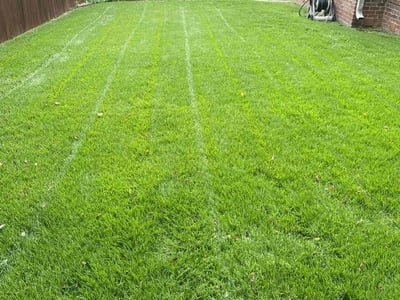 Lawn care service in Fayetteville, 72764