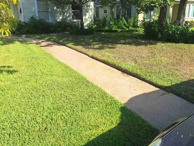 Lawn care service in Austin, 78704