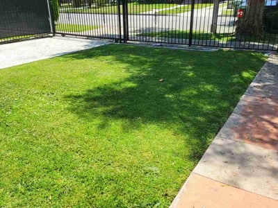 Lawn care service in Los Angeles, 90044