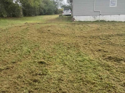 Lawn care service in Horton, 35980
