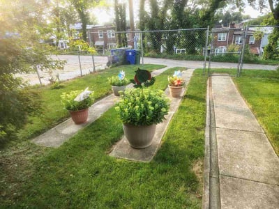 Lawn care service in Baltimore, 21215