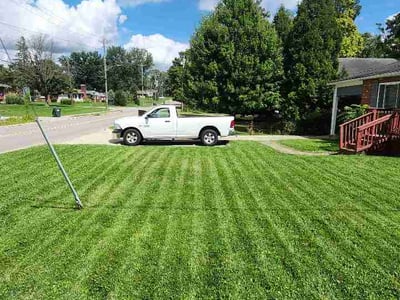Lawn care service in Cincinnati, 45236