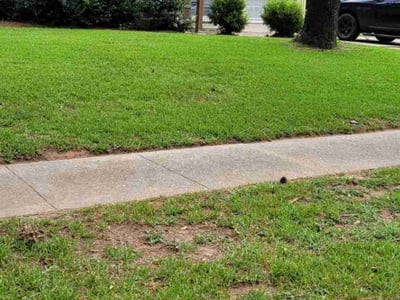 Lawn care service in Shreveport, 71118