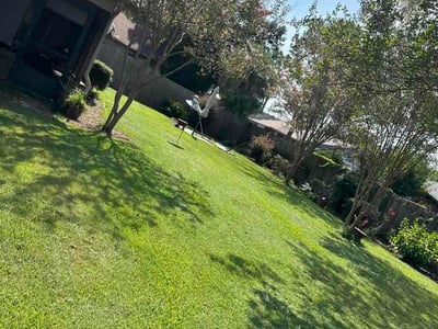 Lawn care service in Pensacola, 32526