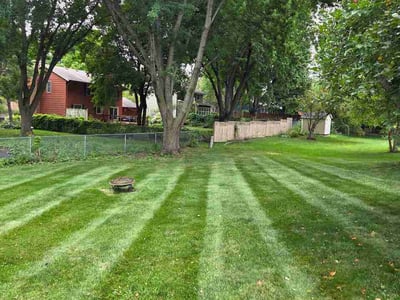 Lawn care service in Chanhassen, 55317