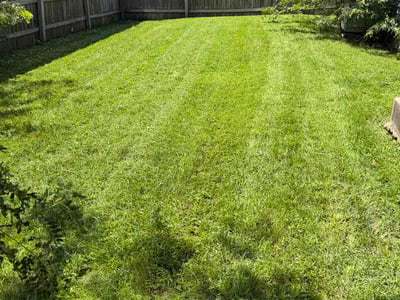 Lawn care service in Aurora, 60504