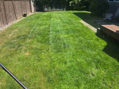 Lawn care service in Sammamish, 98075