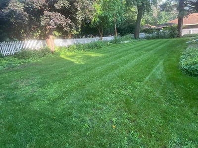 Lawn care service in Minneapolis, 55424