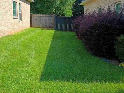 Lawn care service in Warner Robins, 31088