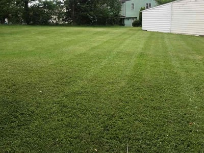 Lawn care service in Youngstown, 44509