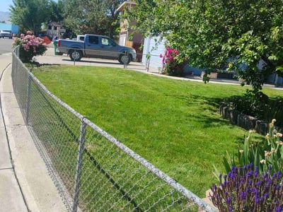 Lawn care service in Reno, 89511