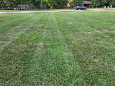 Lawn care service in Mentor, 44060