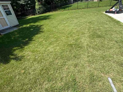 Lawn care service in Charlotte, 28215