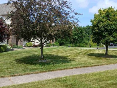 Lawn care service in Rochester, 14626