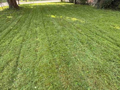 Lawn care service in Uniontown, 15401