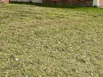 Lawn care service in Grand Prairie, 75052