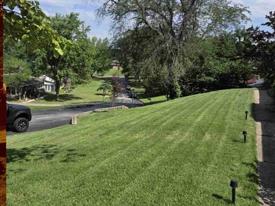 Lawn care service in Ferguson, 63135