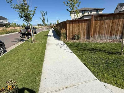 Lawn care service in Denver, 80238