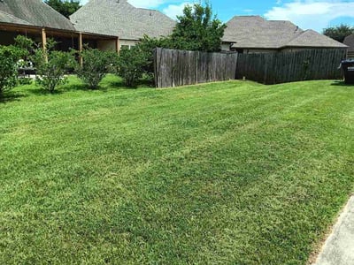 Lawn care service in Prairieville, 70769