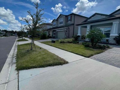 Lawn care service in Wesley Chapel, 33545