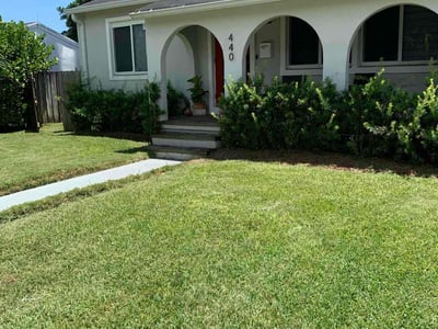 Lawn care service in Miami, 33161