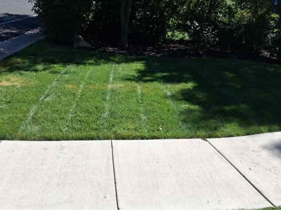 Lawn care service in Littleton, 80123