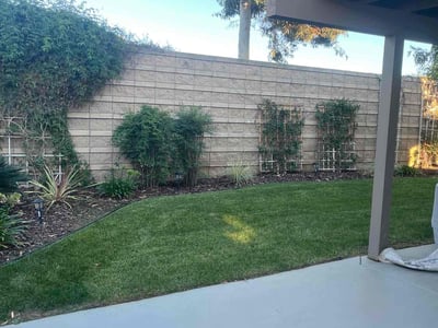 Lawn care service in San Diego, 92119