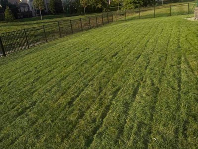 Lawn care service in Naperville, 60564