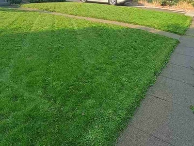 Lawn care service in Greenacres, 99016