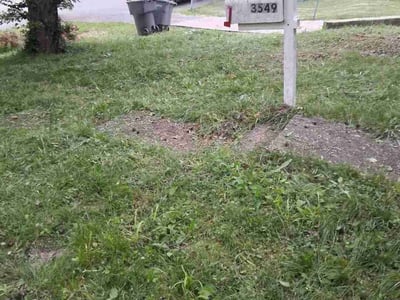 Lawn care service in Indianapolis, 46218