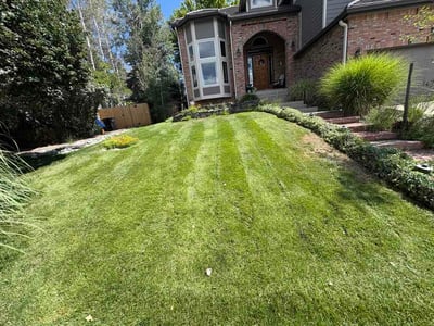 Lawn care service in Arvada, 80005