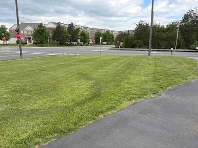 Lawn care service in Manassas, 20110