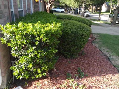Lawn care service in Fort Worth, 76123