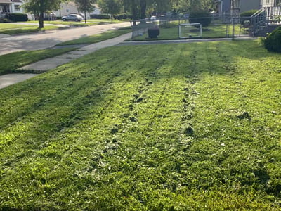 Lawn care service in Waukegan, 60087