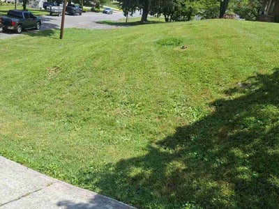 Lawn care service in Johnson City, 37601