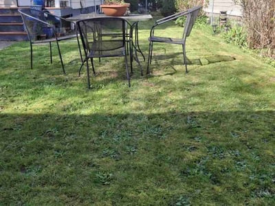 Lawn care service in Tacoma, 98406
