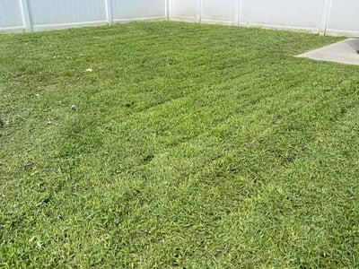 Lawn care service in Edgewood, 21040