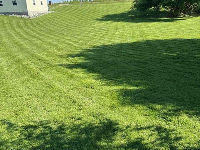 Lawn care service in Oak Grove, 42262