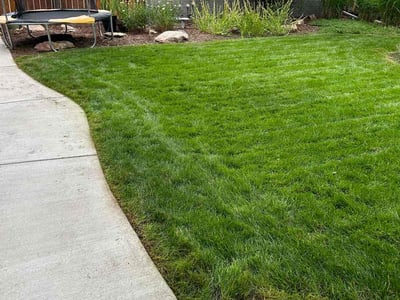 Lawn care service in Denver, 80210
