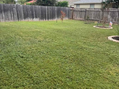 Lawn care service in Pflugerville, 78660