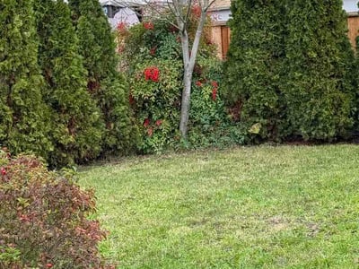 Lawn care service in Santa Clara, 95050