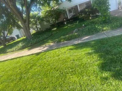 Lawn care service in Lorain, 44052