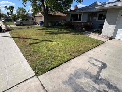 Lawn care service in Fresno, 93726