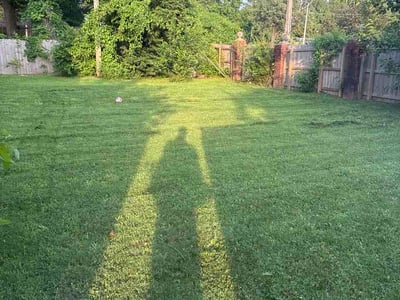Lawn care service in Memphis, 38115