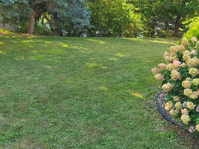 Lawn care service in Rosemount, 55068