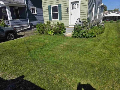 Lawn care service in Erie, 16509