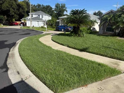 Lawn care service in New Port Richey, 34653