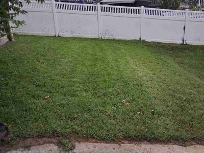 Lawn care service in Baltimore, 21216