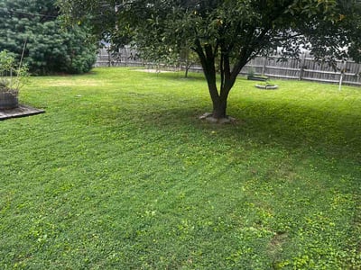 Lawn care service in Noblesville, 46060