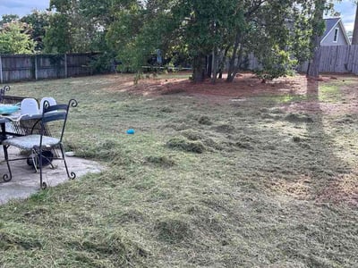 Lawn care service in Fayetteville, 28304